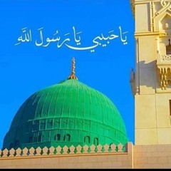 تلاوات وتفاسير قرآن  وقصص الأنبياء والسيرة النبوية