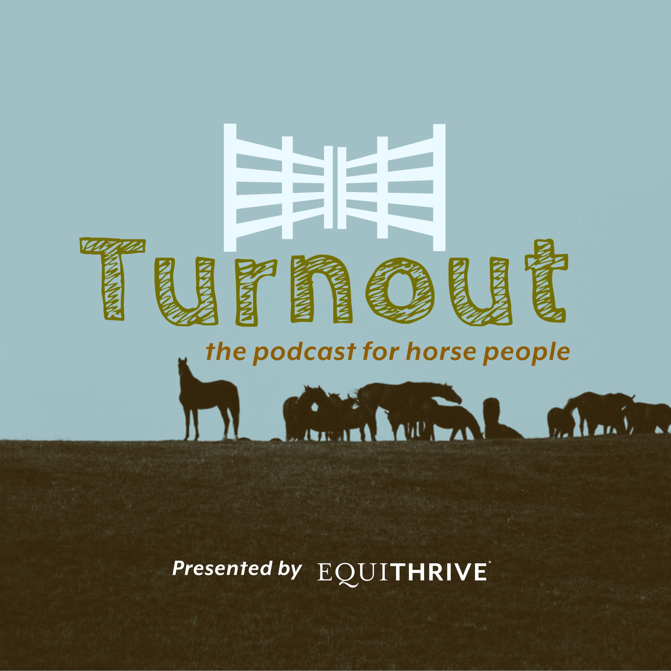 Turnout: the podcast for horse people