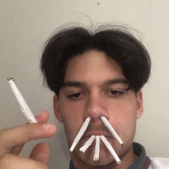 dylansinarush