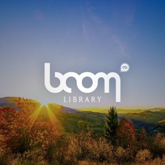 BOOM Library