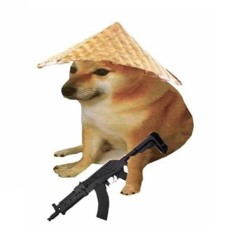 RUCKUS