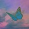 Kawaii Butterfly
