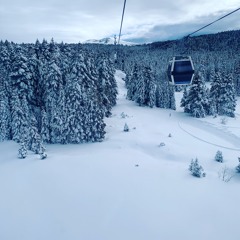 Manal A alabdulwahab