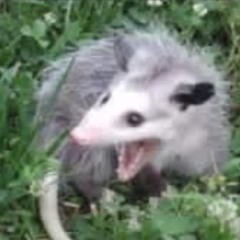 Jude