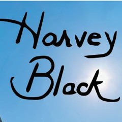 Harvey Black
