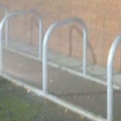 chinese biker humans