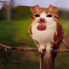 ◇