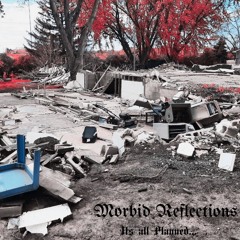johnmorbidreflections
