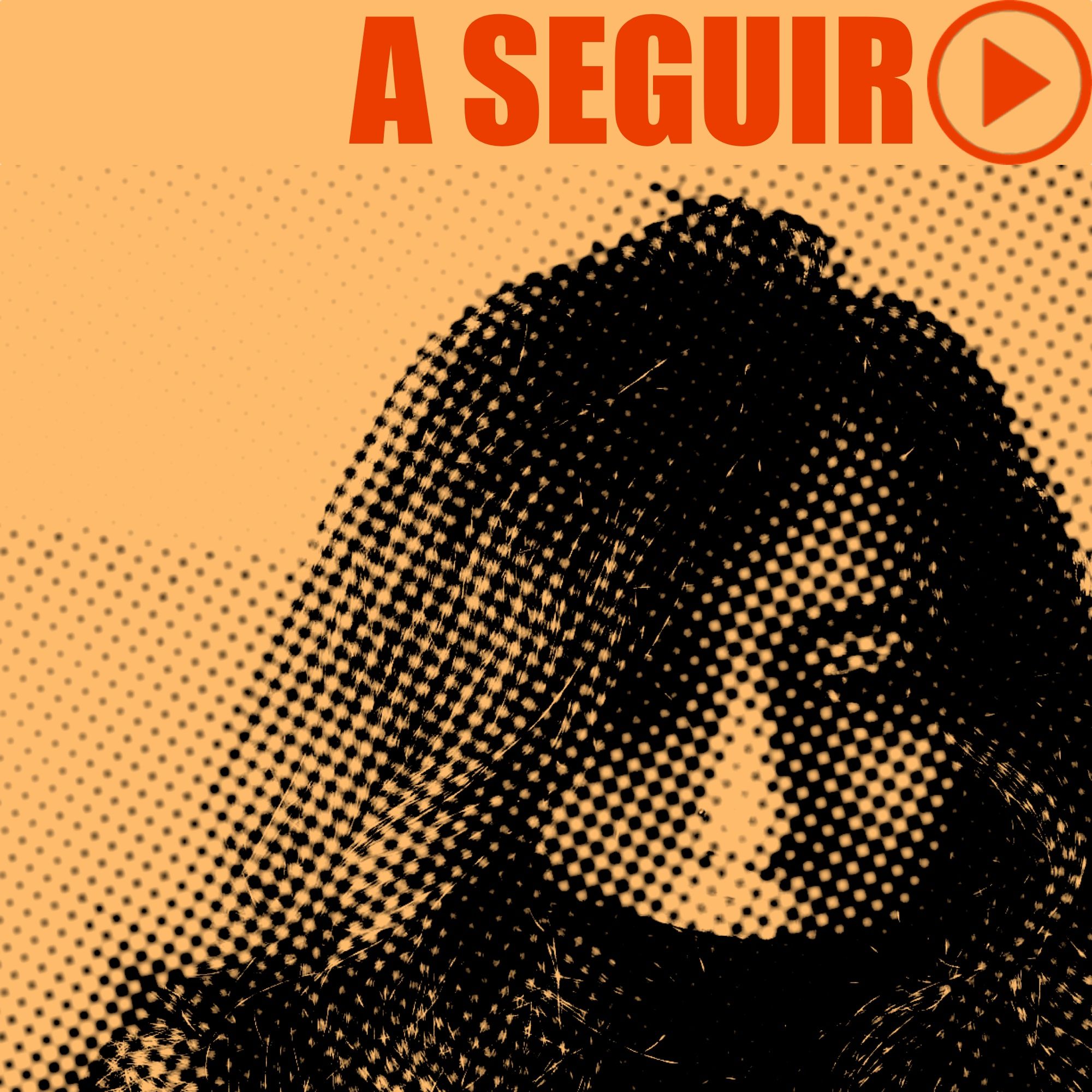 A Seguir