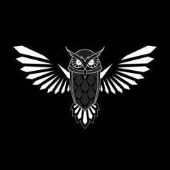 NGHT OWL