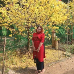 Hồng Trâm