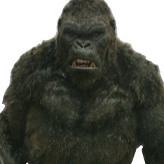 kong