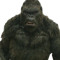 kong