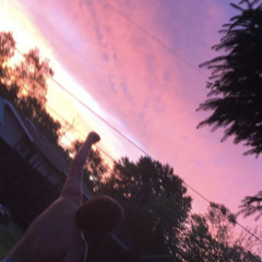 grrd