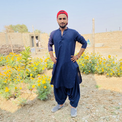 Sajjad Hassni
