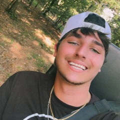 Brandonowitz