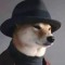 dog agiota