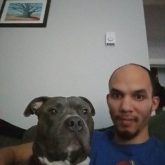 Audiyo