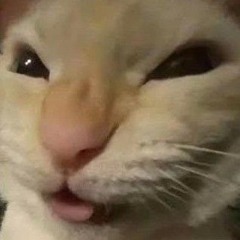 ☆ • Cogumelo •☆