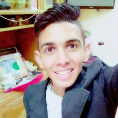 Alaa Bakr
