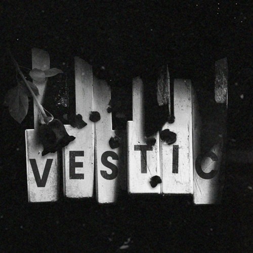 Vestic’s avatar