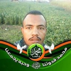 محمد صابر محمد صابر