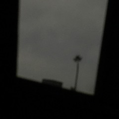 the premature burial