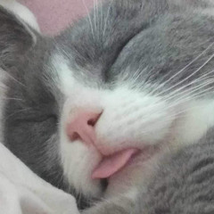 gobigobi