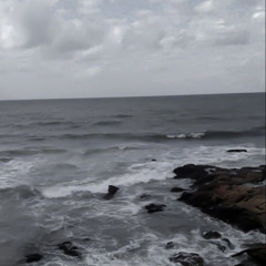 liiz