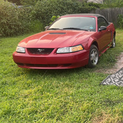 Shotta                    G