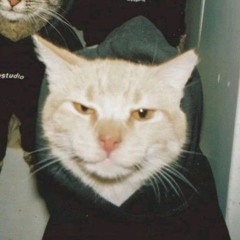 LRKIN - Pososi Disco