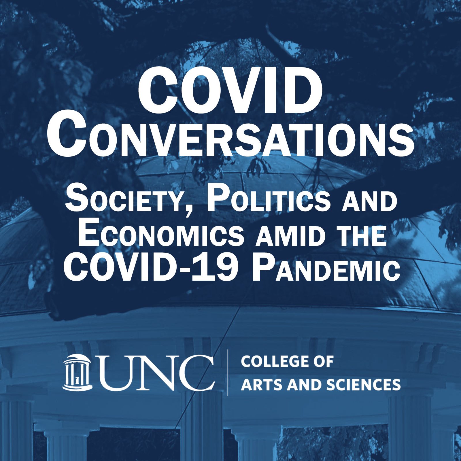 COVID and the Costs of Partisanship