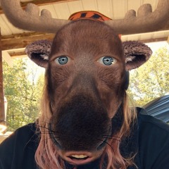 Moose Johnson
