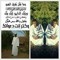 الشتاء الدافئ