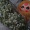 xinnxr