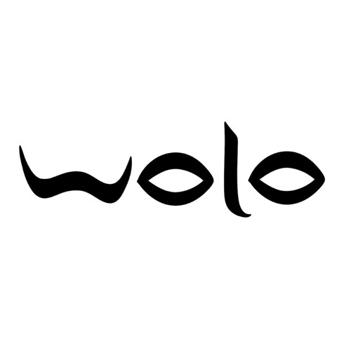 WOLO — artist photo