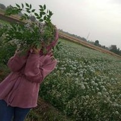 رميساء أحمد