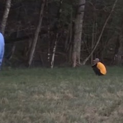 BABYLEAN (@babylean0607)