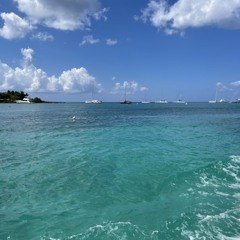 Island Life