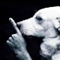 ‎ ‎ ‎