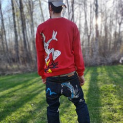 Shane The Victorious