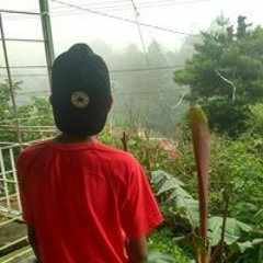 Arif Nurfahmi S