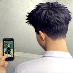 hoàng tử Tứ Kỳ