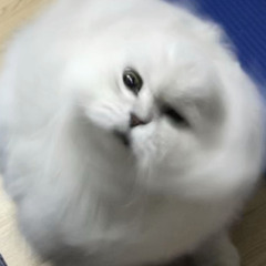 Yonsn2