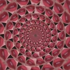 S.