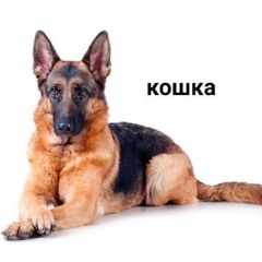 леррруа