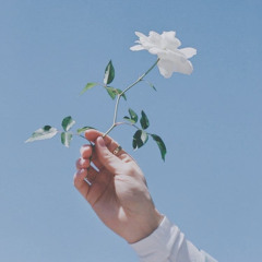 Hala Amoud