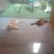 Wendy Vd Griendt