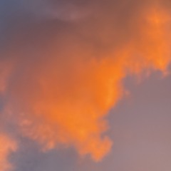 Pop español (ayer y hoy)