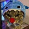 LIL REXZ 999